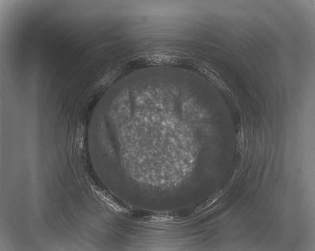 X0000082720458200702161846