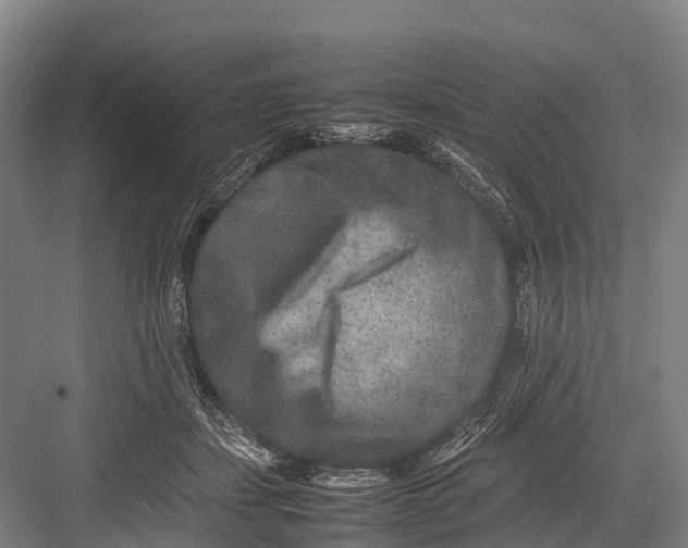 X0000082720459200702161846