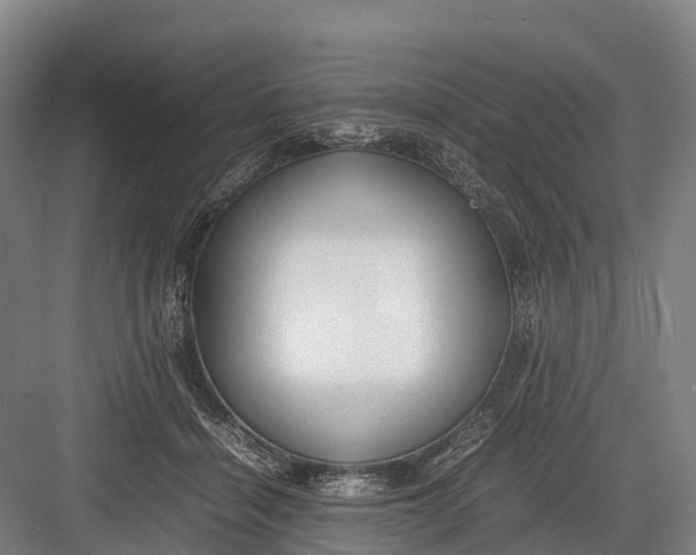 X0000082720460200702161846