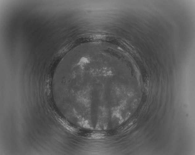 X0000082720462200702161846