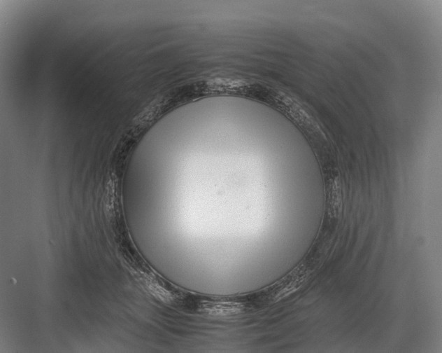 X0000082720463200702161846