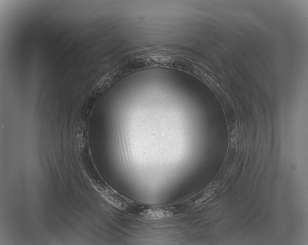 X0000082720464200702161846