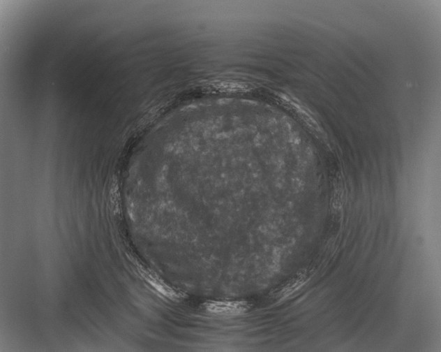 X0000082720465200702161846