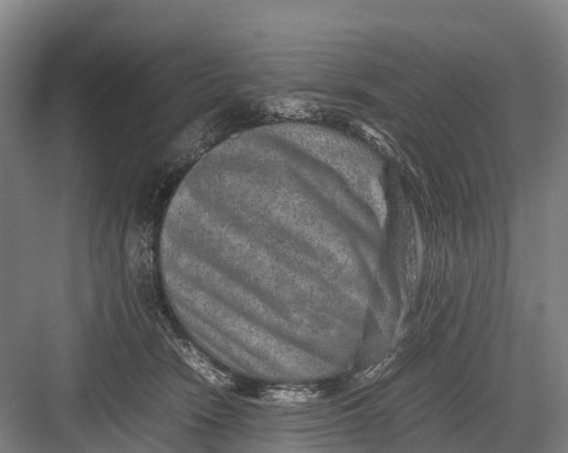 X0000082720466200702161846