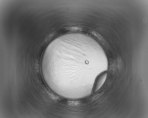 X0000082720469200702161846