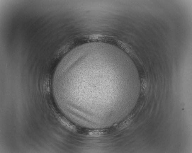 X0000082720470200702161846