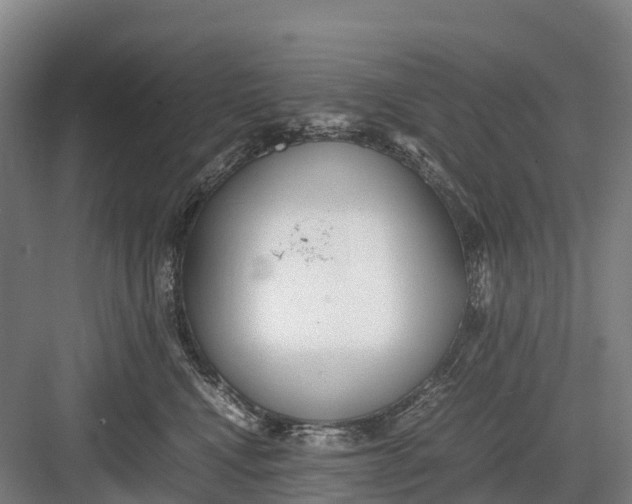 X0000082720472200702161846