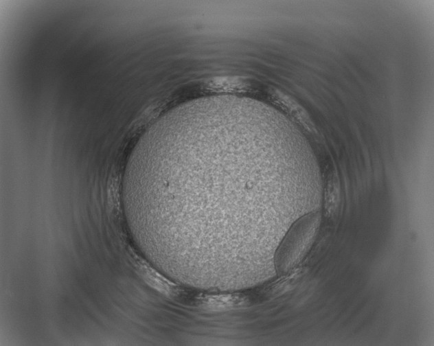 X0000082720473200702161846