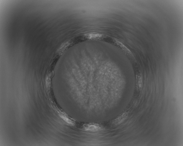 X0000082720475200702161846