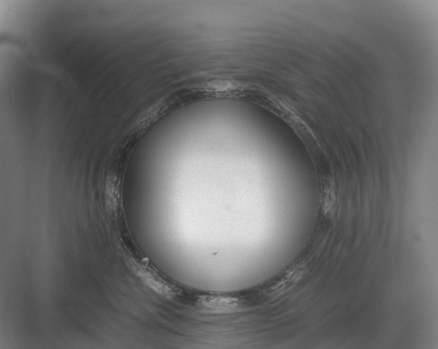 X0000082720476200702161846