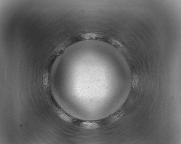 X0000082720477200702161846