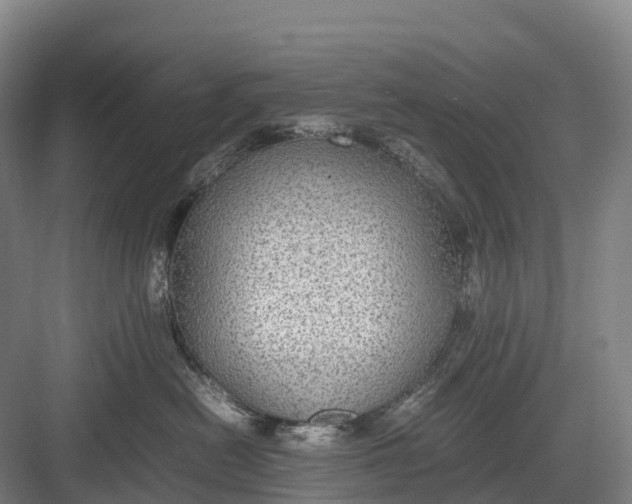 X0000082720478200702161846