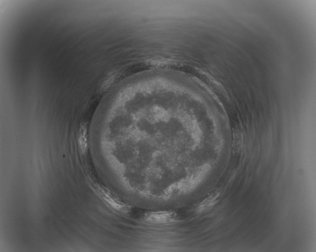 X0000082720479200702161846