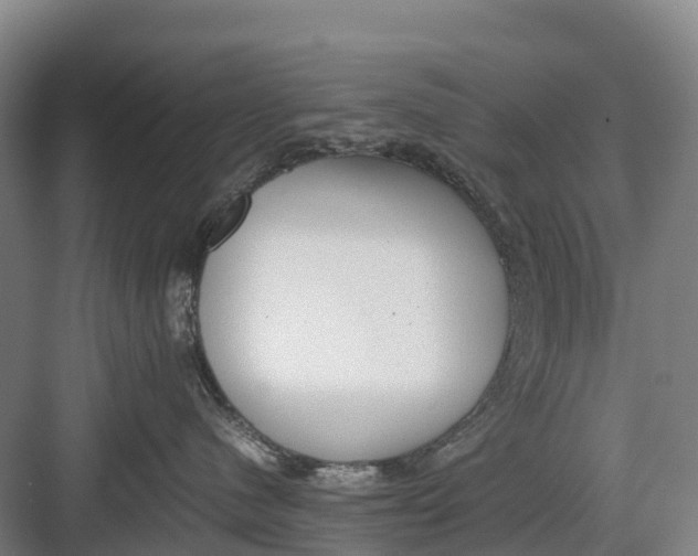 X0000082720480200702161846