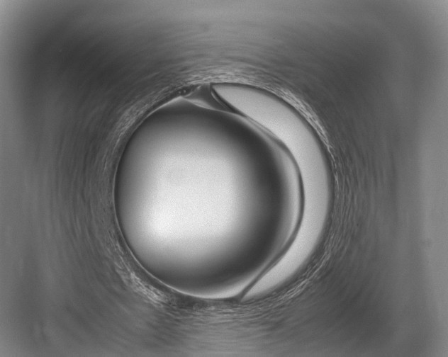 X0000082720481200702161845