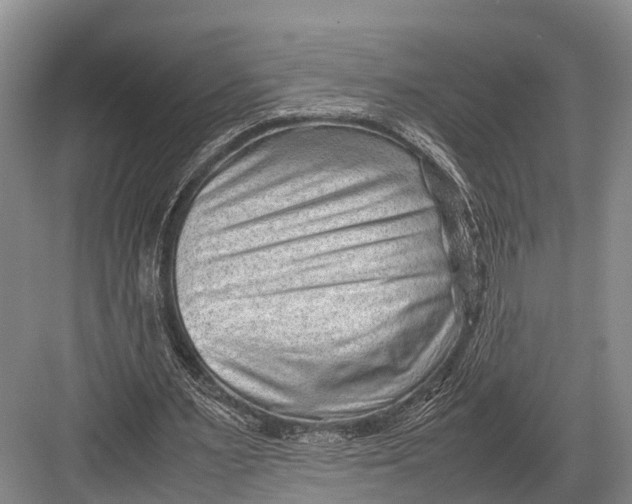 X0000082720483200702161845