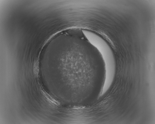 X0000082720484200702161845