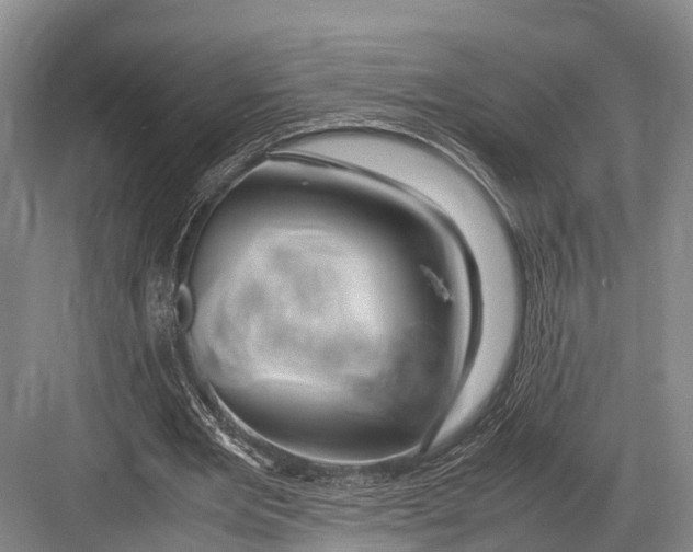 X0000082720485200702161845