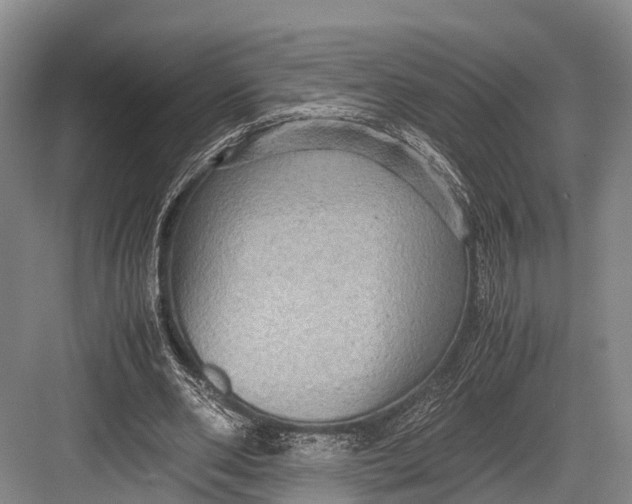 X0000082720486200702161845