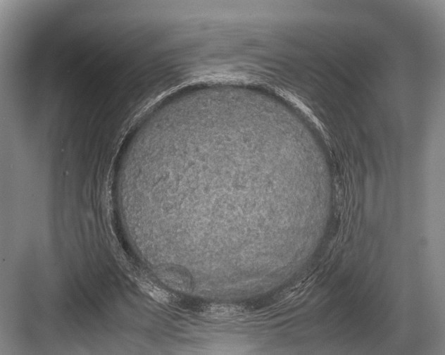 X0000082720487200702161845