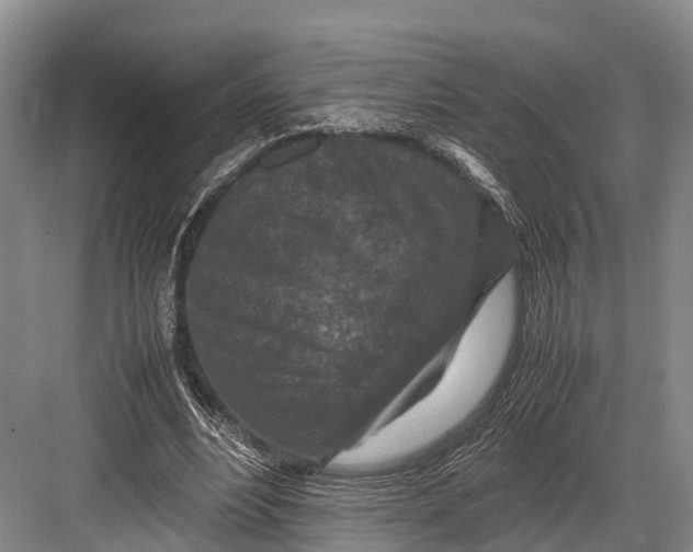 X0000082720488200702161845