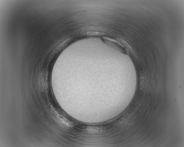 X0000082720490200702161845