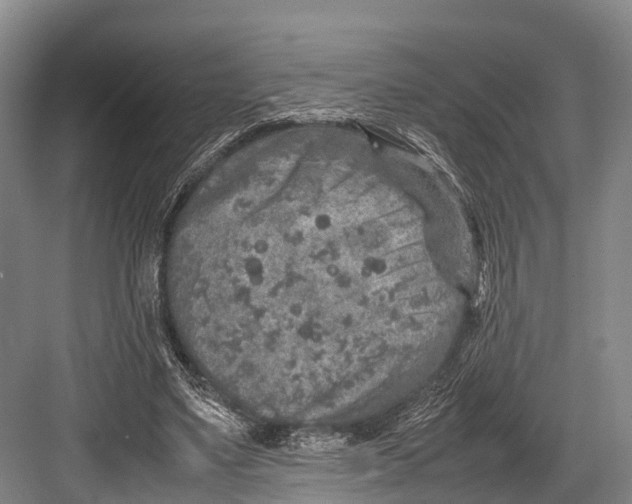 X0000082720491200702161845