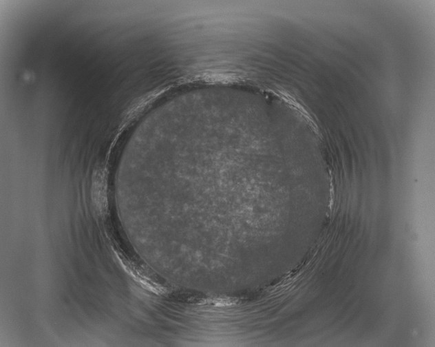 X0000082720492200702161845