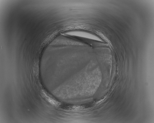 X0000082720493200702161845