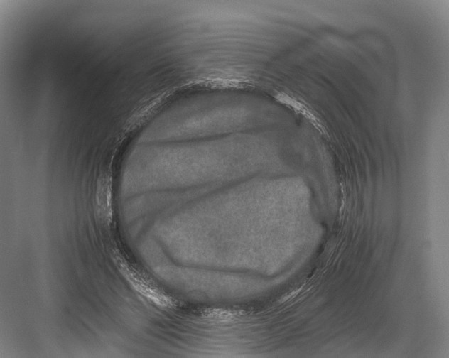 X0000082720494200702161845