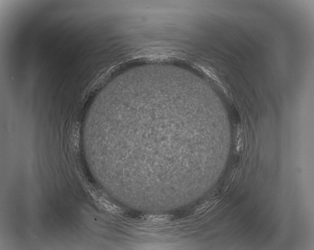 X0000082720495200702161845