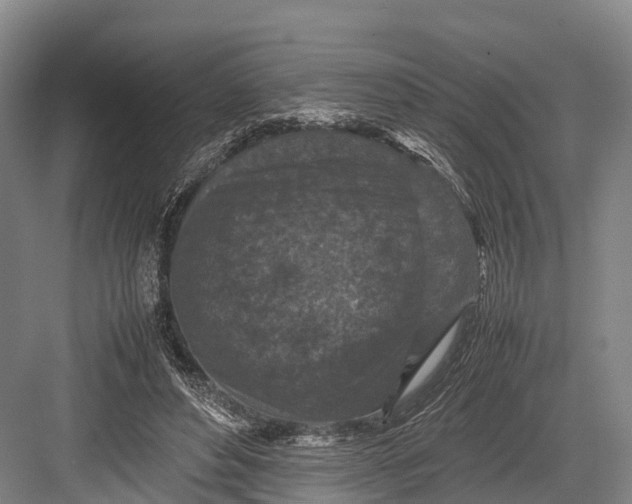 X0000082720496200702161845