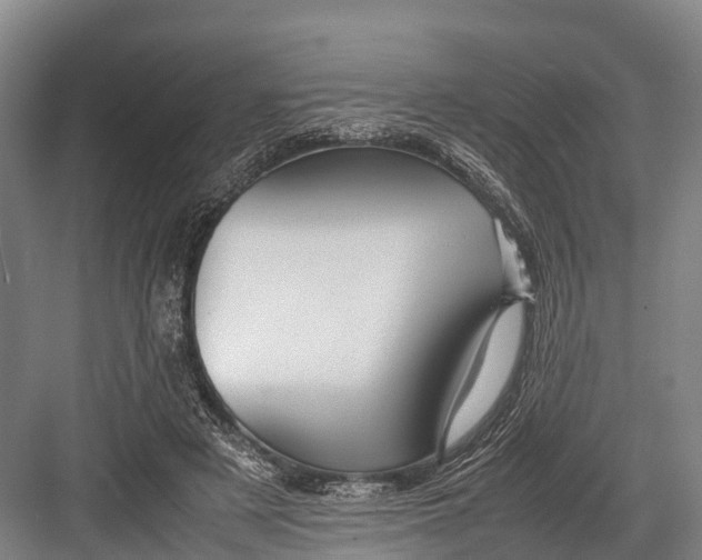 X0000082720497200702161845