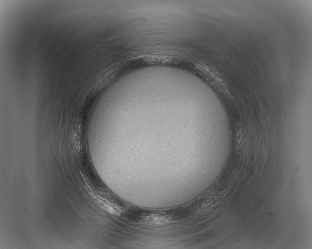 X0000082720498200702161845