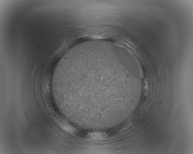 X0000082720499200702161845