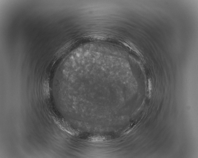 X0000082720500200702161845