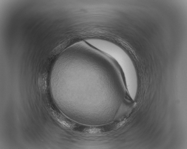 X0000082720501200702161845