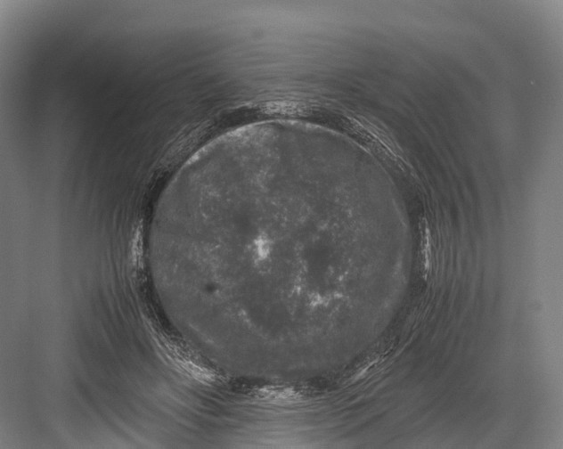 X0000082720502200702161845