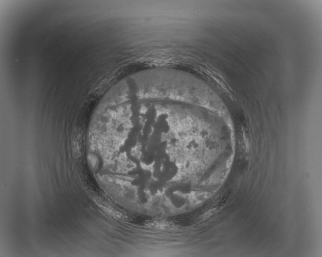 X0000082720503200702161845