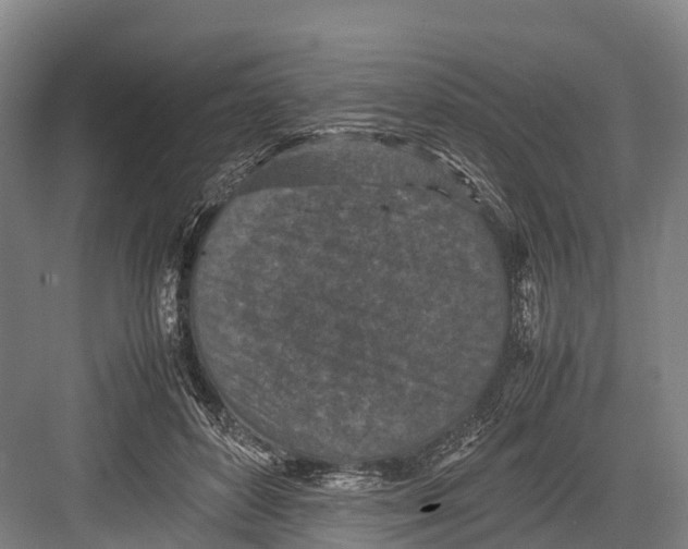 X0000082720504200702161845