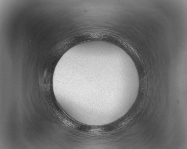 X0000082720505200702161845