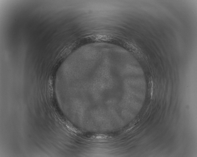 X0000082720506200702161845