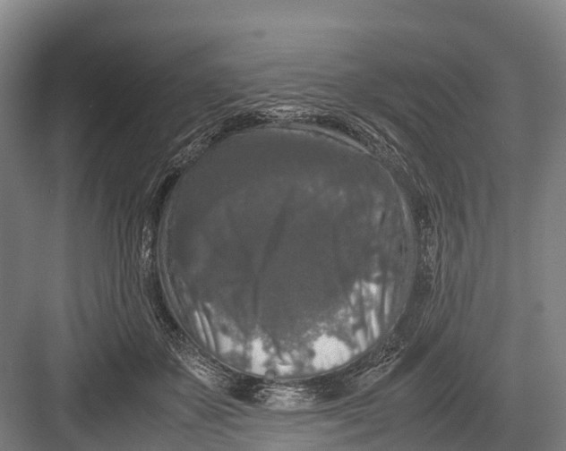 X0000082720507200702161845