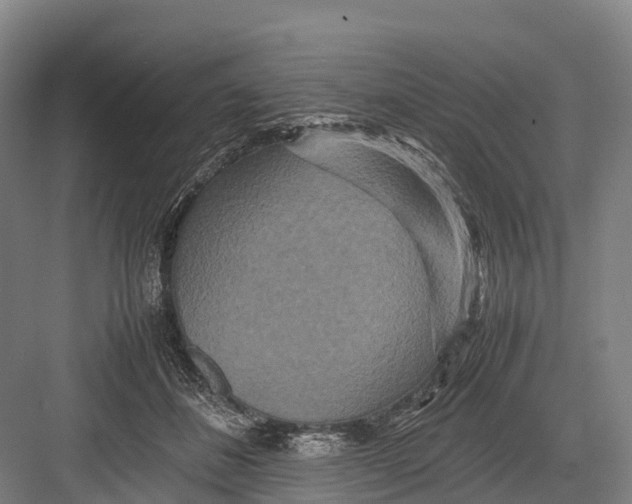 X0000082720508200702161845