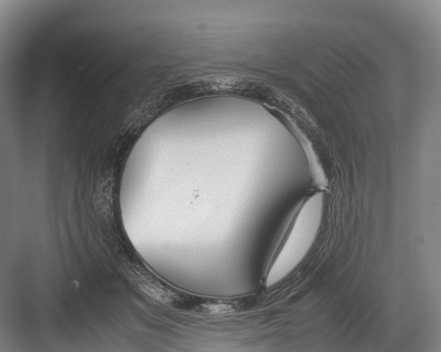 X0000082720509200702161845