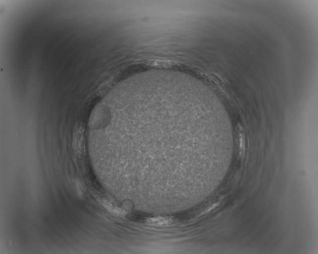 X0000082720511200702161845