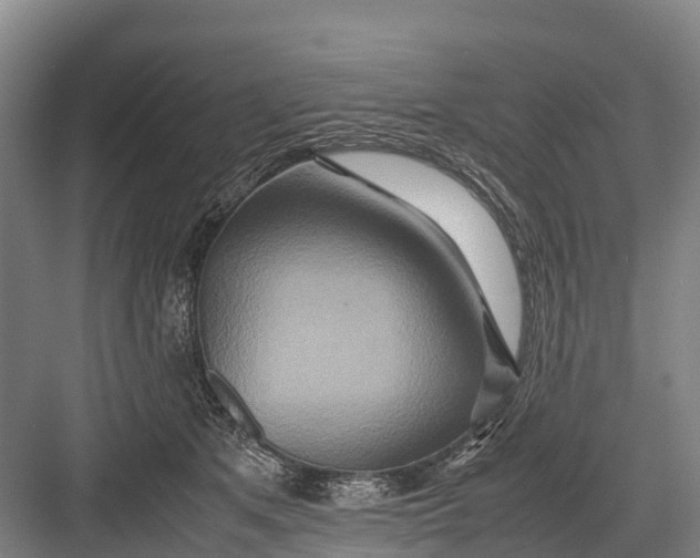 X0000082720513200702161845