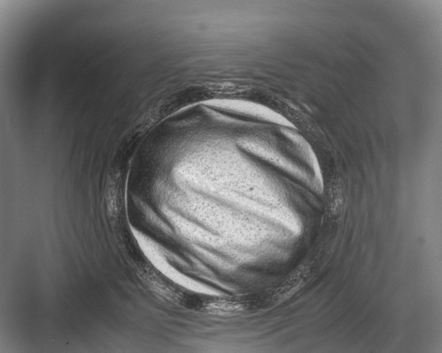 X0000082720515200702161845