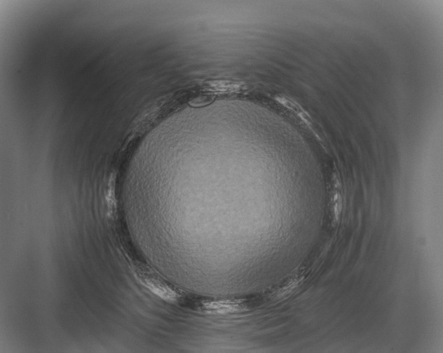 X0000082720516200702161845