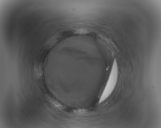 X0000082720517200702161845